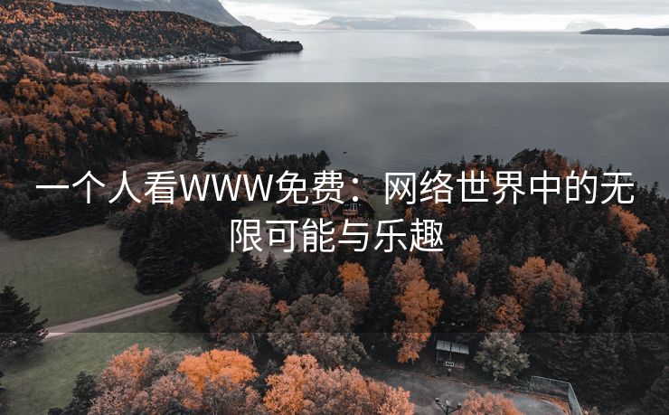 一个人看WWW免费：网络世界中的无限可能与乐趣