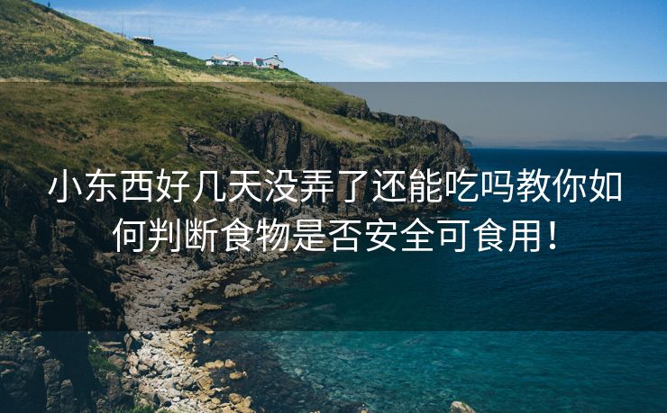 小东西好几天没弄了还能吃吗教你如何判断食物是否安全可食用！
