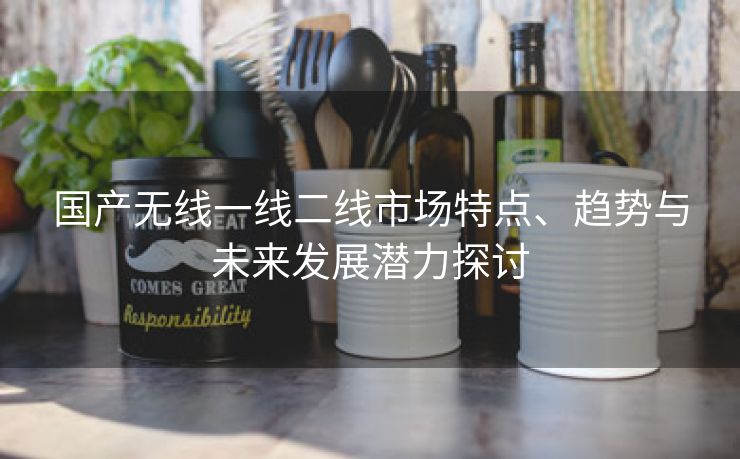 国产无线一线二线市场特点、趋势与未来发展潜力探讨