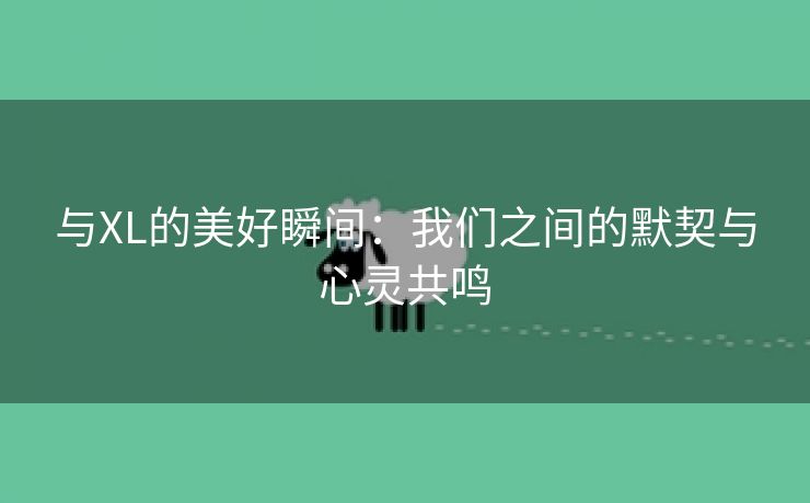 与XL的美好瞬间：我们之间的默契与心灵共鸣