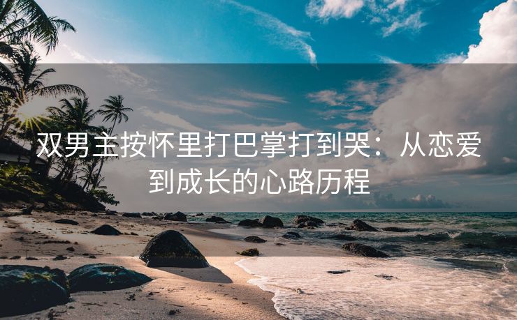 双男主按怀里打巴掌打到哭：从恋爱到成长的心路历程
