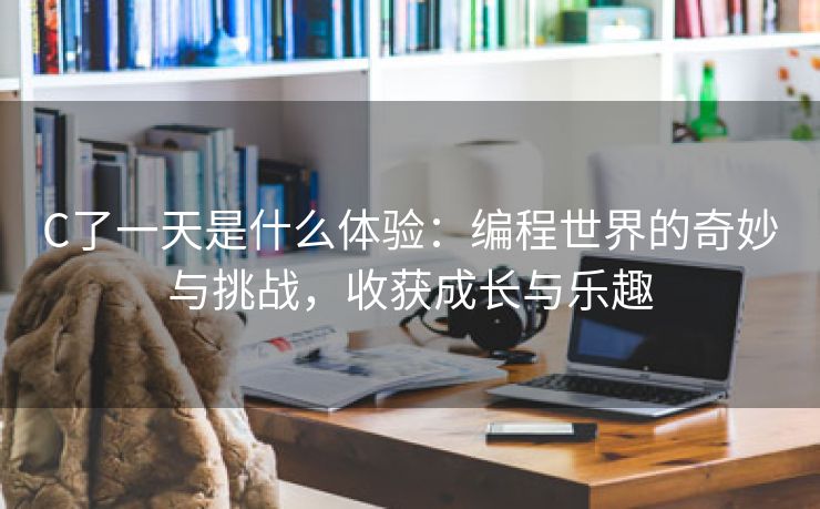 C了一天是什么体验：编程世界的奇妙与挑战，收获成长与乐趣