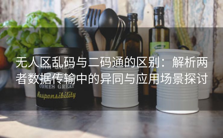 无人区乱码与二码通的区别：解析两者数据传输中的异同与应用场景探讨