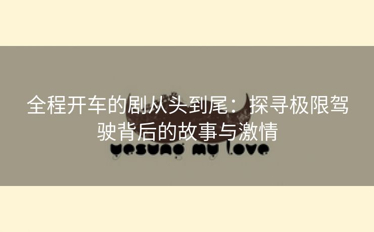 全程开车的剧从头到尾：探寻极限驾驶背后的故事与激情