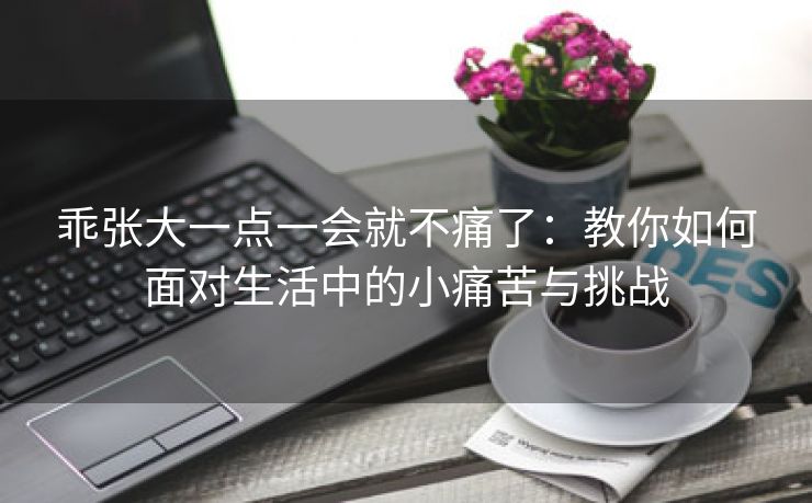 乖张大一点一会就不痛了：教你如何面对生活中的小痛苦与挑战