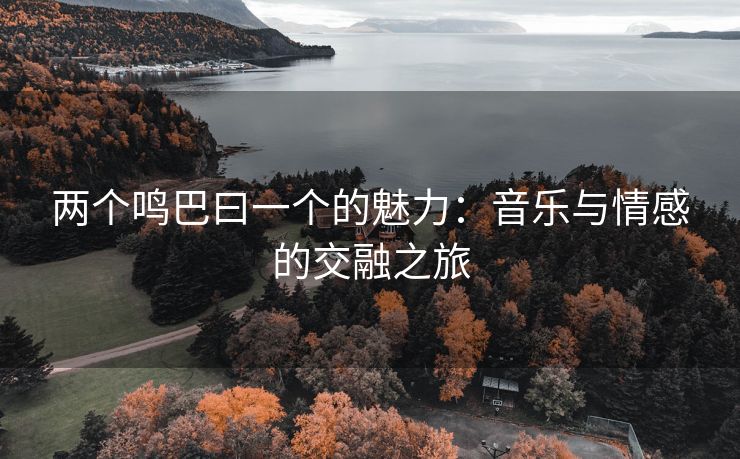两个鸣巴曰一个的魅力：音乐与情感的交融之旅
