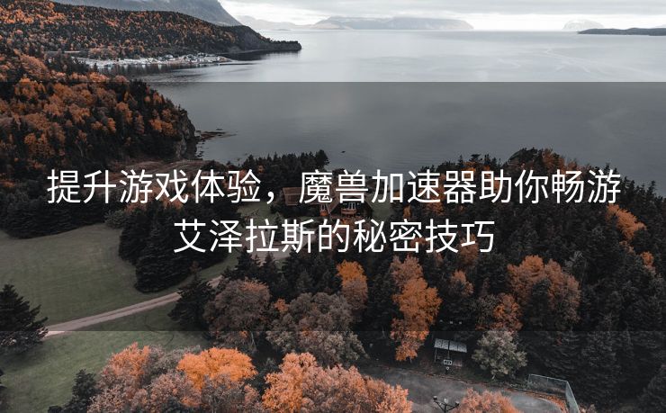 提升游戏体验，魔兽加速器助你畅游艾泽拉斯的秘密技巧