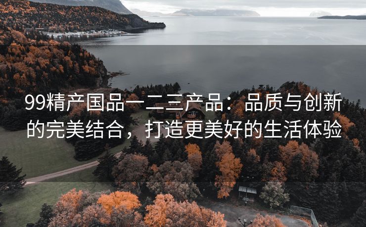 99精产国品一二三产品：品质与创新的完美结合，打造更美好的生活体验