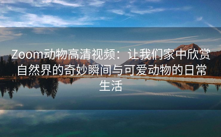 Zoom动物高清视频：让我们家中欣赏自然界的奇妙瞬间与可爱动物的日常生活