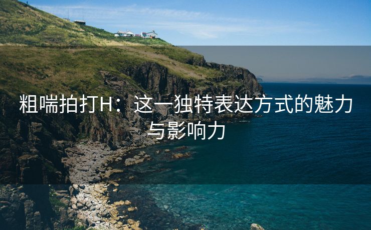 粗喘拍打H：这一独特表达方式的魅力与影响力