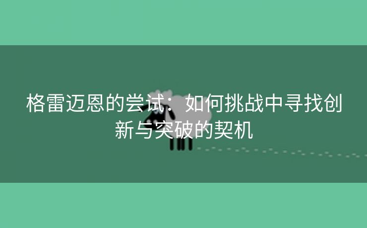 格雷迈恩的尝试：如何挑战中寻找创新与突破的契机