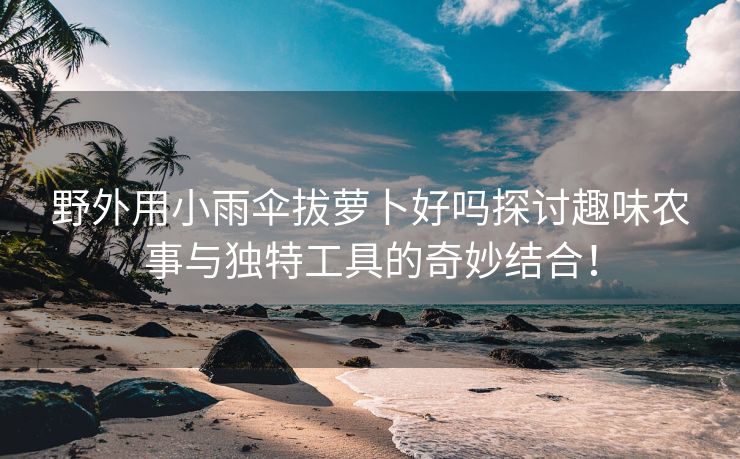 野外用小雨伞拔萝卜好吗探讨趣味农事与独特工具的奇妙结合！