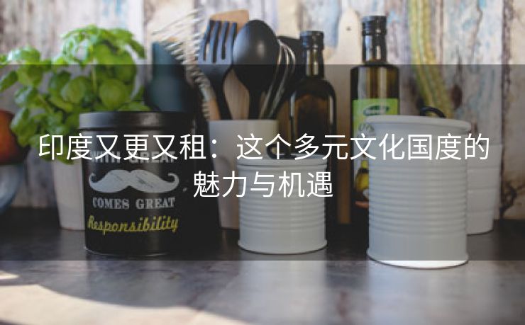 印度又更又租：这个多元文化国度的魅力与机遇