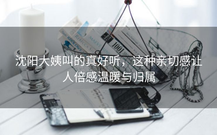 沈阳大姨叫的真好听，这种亲切感让人倍感温暖与归属