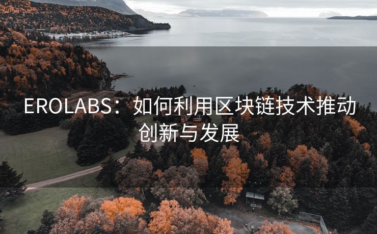 EROLABS：如何利用区块链技术推动创新与发展