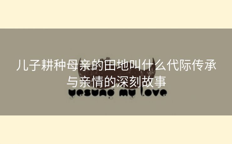 儿子耕种母亲的田地叫什么代际传承与亲情的深刻故事